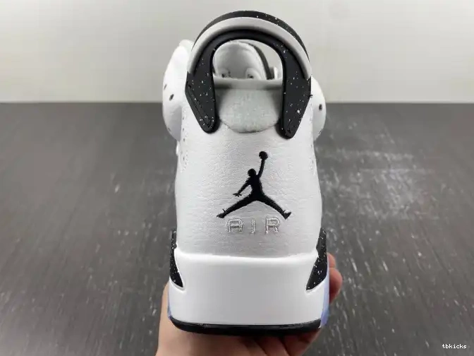 Cheap TB 6 Oreo Reverse CT8529-112 Air Jordan 0503